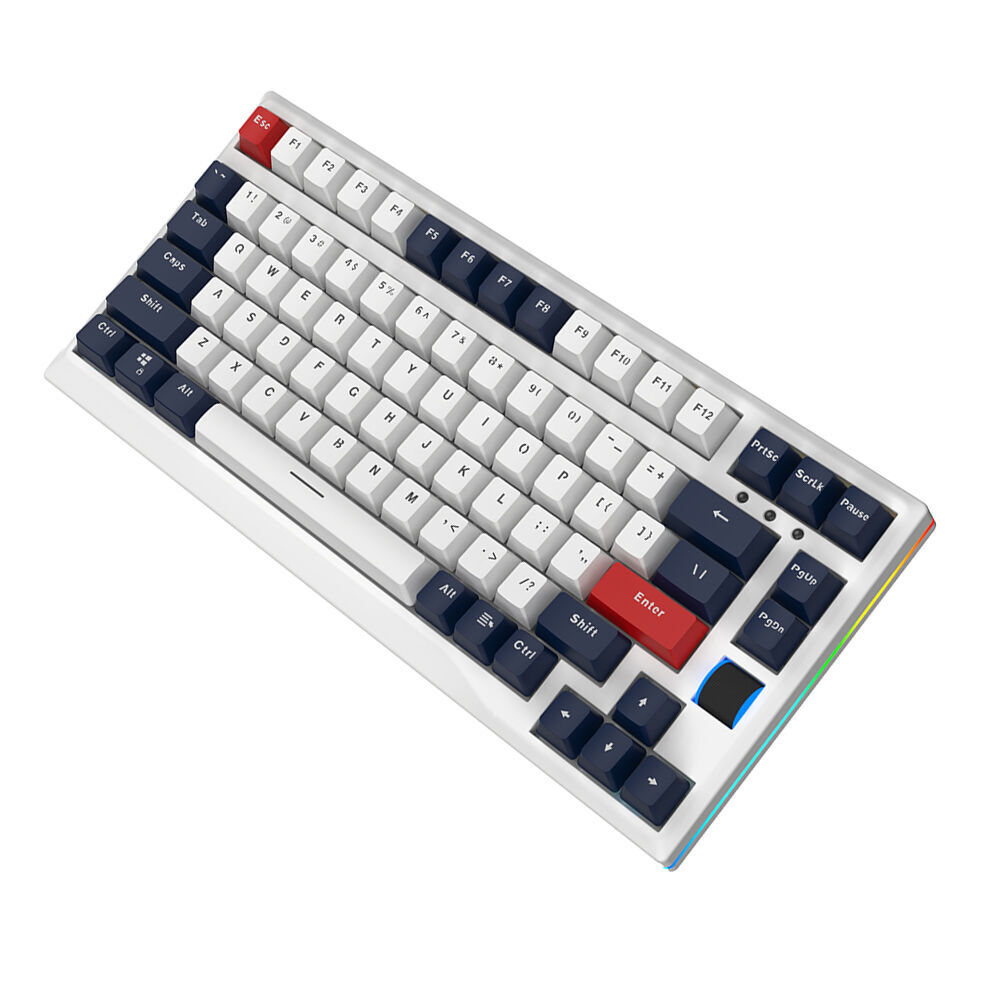 Entry Level Price Highquality Mechanical Keyboard 82 Keys Compact