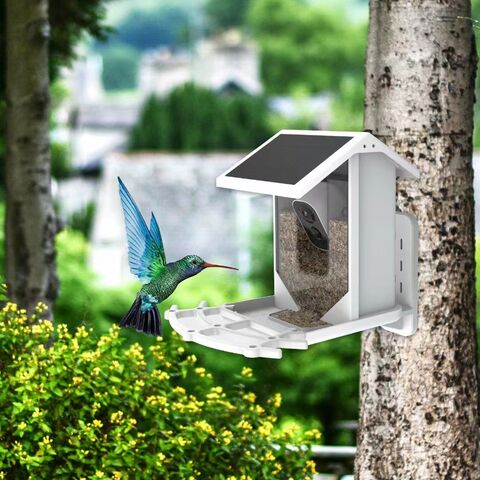 Achetez en gros Smart Bird Feeder Caméra, 1080p Hd Caméra Auto