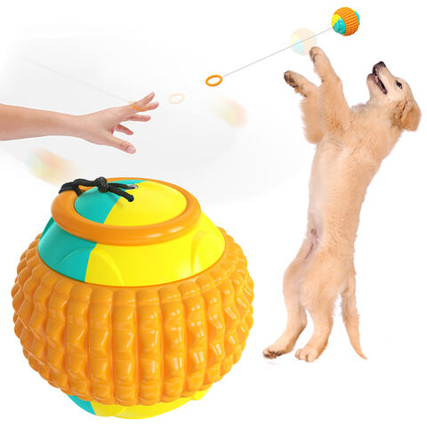 Pet Bite-resistant Dog Toy Dog UFO Toys Pet Food Bowl Snacks Feeder  Supplies