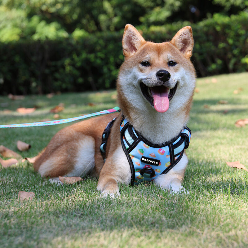Curated visual reference: Large Breed Dog Harness For High Energy Activities Reference: Buy China Wholesale Custom Sublimation Nylon Adjustable Strong Big