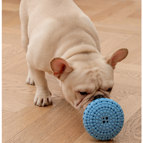 Dropship Tumbler Dog Leaky Dog Leaky Ball Bite-resistant Puzzle