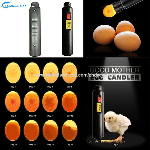 Egg Candler Tester Rechargeable Wireless Cool Light Incubator