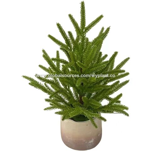 Factory Direct Sale Small Green Plastic Needle Leaves Bonsai Artificial  Pine Tree for Home Decor - China Garden Decoration and Chinese Pine Tree  price