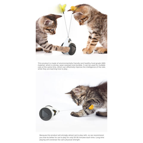 https://p.globalsources.com/IMAGES/PDT/B5992713833/cat-toys.jpg