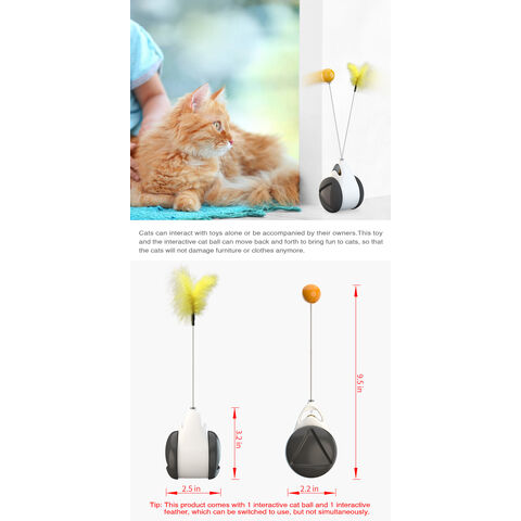 Cat And Dog Toys Slow Food Interactive Balance Car Multifunctional