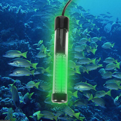 Luz de pesca subacuática 12V-24V, buscador de cebo señuelo, luz de