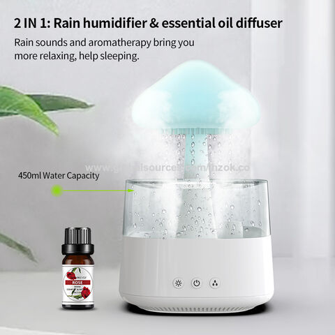 Multicolorful Cloud and Raindrop Humidifier Light Diffuser With