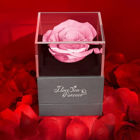 Mother's Day Eternal Real Rose Gift Box,Forever Love Flower 100 Languages  Silver L LOVE YOU Mystery Stone, for Your Wife,Mom.Girlfriend,Valentines