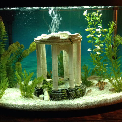Achetez en gros Décoration D'aquarium Environnements Cave Living Reef Fish  Tank Résine Coral Aquarium Vintage Décoratif Bell Aquarium Décoration Chine  et Décoration D'aquarium à 1.2 USD