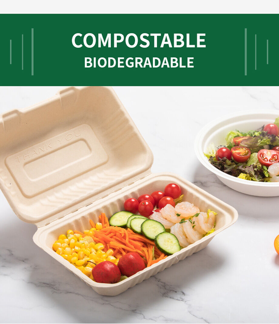 Buy Wholesale China 600ml Clamshell To Go Boxes, Compostable Clamshell Takeout  Containers With Hinged Lids, Anti-grease Microwavable Container Boxes &  Sugarcane Containers,biodegradable Food Clamshell at USD 0.048