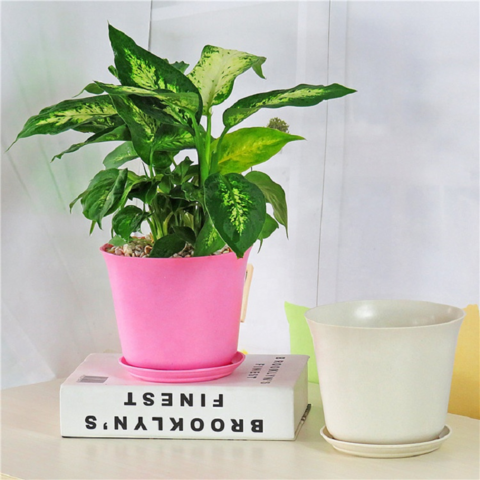 Vaso de plástico biodegradável de palha de trigo para suculentas - Vasos de jardim de plástico para plantas no atacado