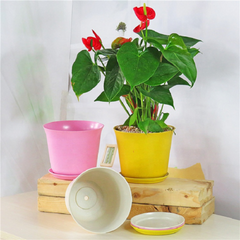 Vaso de plástico biodegradável de palha de trigo para suculentas - Vasos de jardim de plástico para plantas no atacado