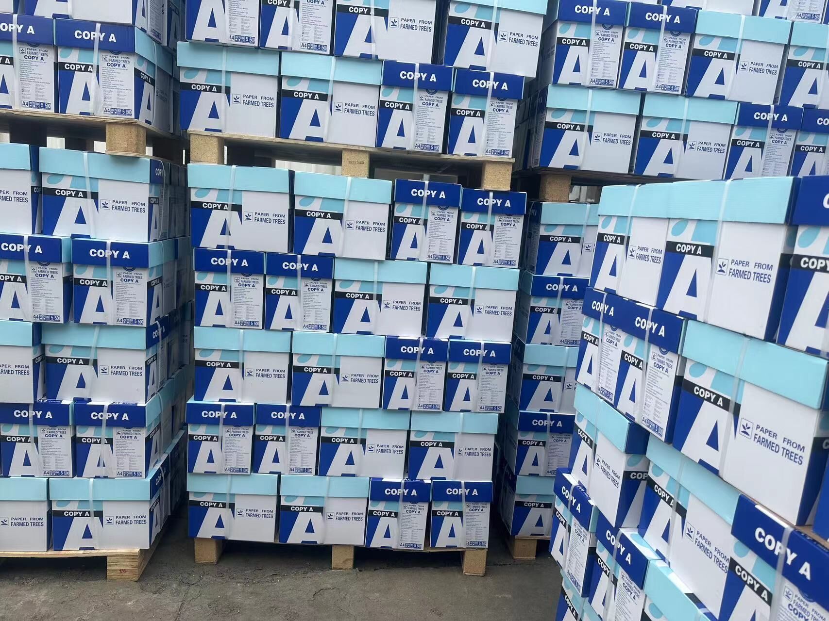 Wholesale Copier 500 Ream Sheets Double Bond Office A Copy Paper