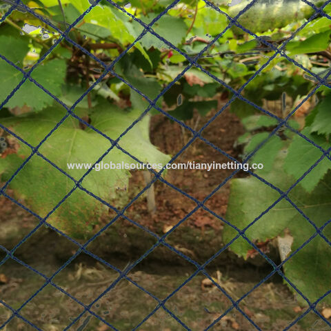 Affordable Anti Bird Net, Industrial Black Square Netting, Hyderabad