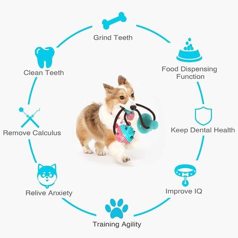 Suction Cup Chew Toys for Dog-Tug of War Dog Toy for Aggressive-Teeth  Training Toys for Small Dogs-Dental Health and IQ-Relieve Pet Anxiety