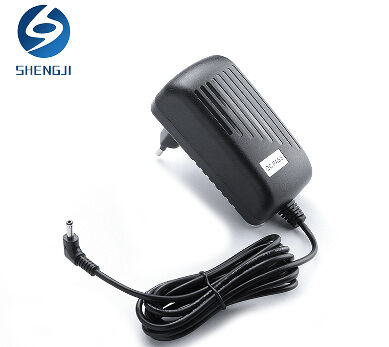 100V-240V to 24V 1A AC/DC Switching Power Supply Adapter with 5 Selectable  Adapter Plugs 