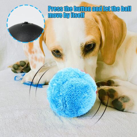 Juguete interactivo para perros – Pelota automática para perros – Bola  automática con carga USB y luces LED – Modo dual – Bola rodante activa para