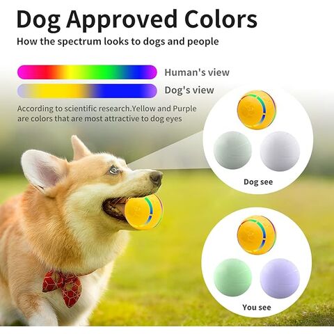 Usb light up dog cheap ball