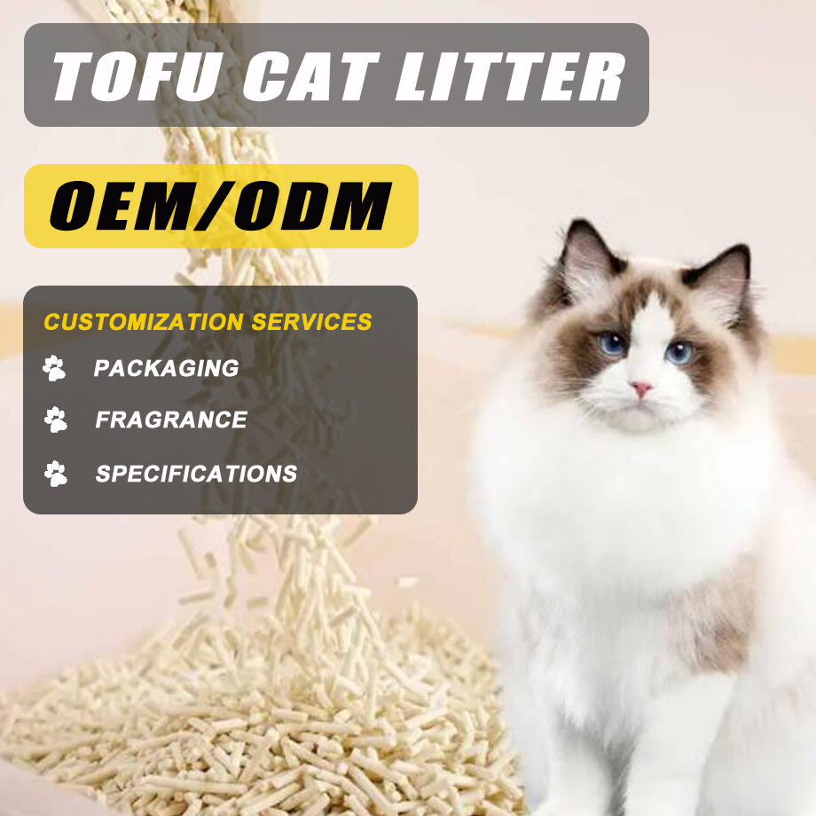 Buy Wholesale China New Popular Strong Clump Oem Friendly Bulk Kitty ...