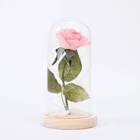 Nouveau kit d'ours de fleur de rose chaude avec lumières LED