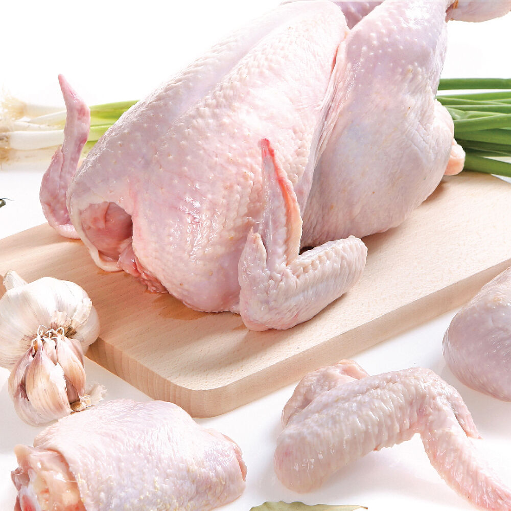 Buy Wholesale Belgium Export Grade Halal Frozen Whole Chicken Chicken
