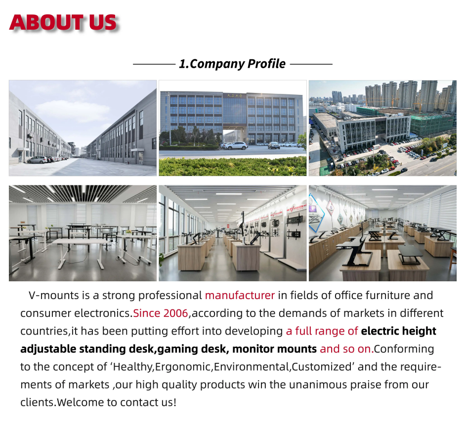 Vmounts Ergonomic Dual Monitor Mount 15 To 27 Inch Screen Vesa 75/100