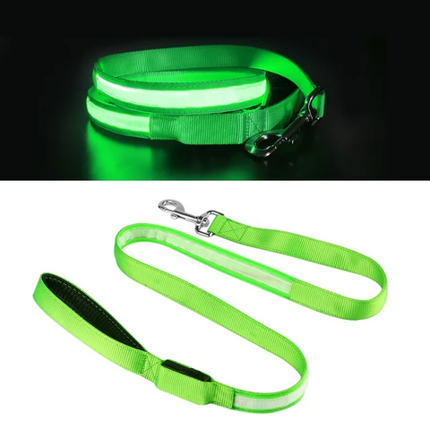 Correa para Perro Recargable por USB con Iluminación JX