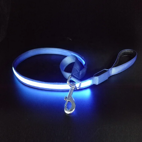 Correa para Perro Recargable por USB con Iluminación JX