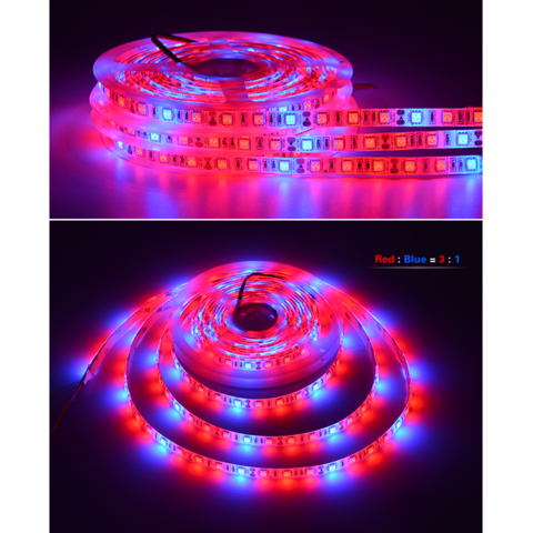 5M Full Spectrum LED Grow Light strip Plant Lamp Blue Red 3:1 ,4:1 ,5:1  DC12V US