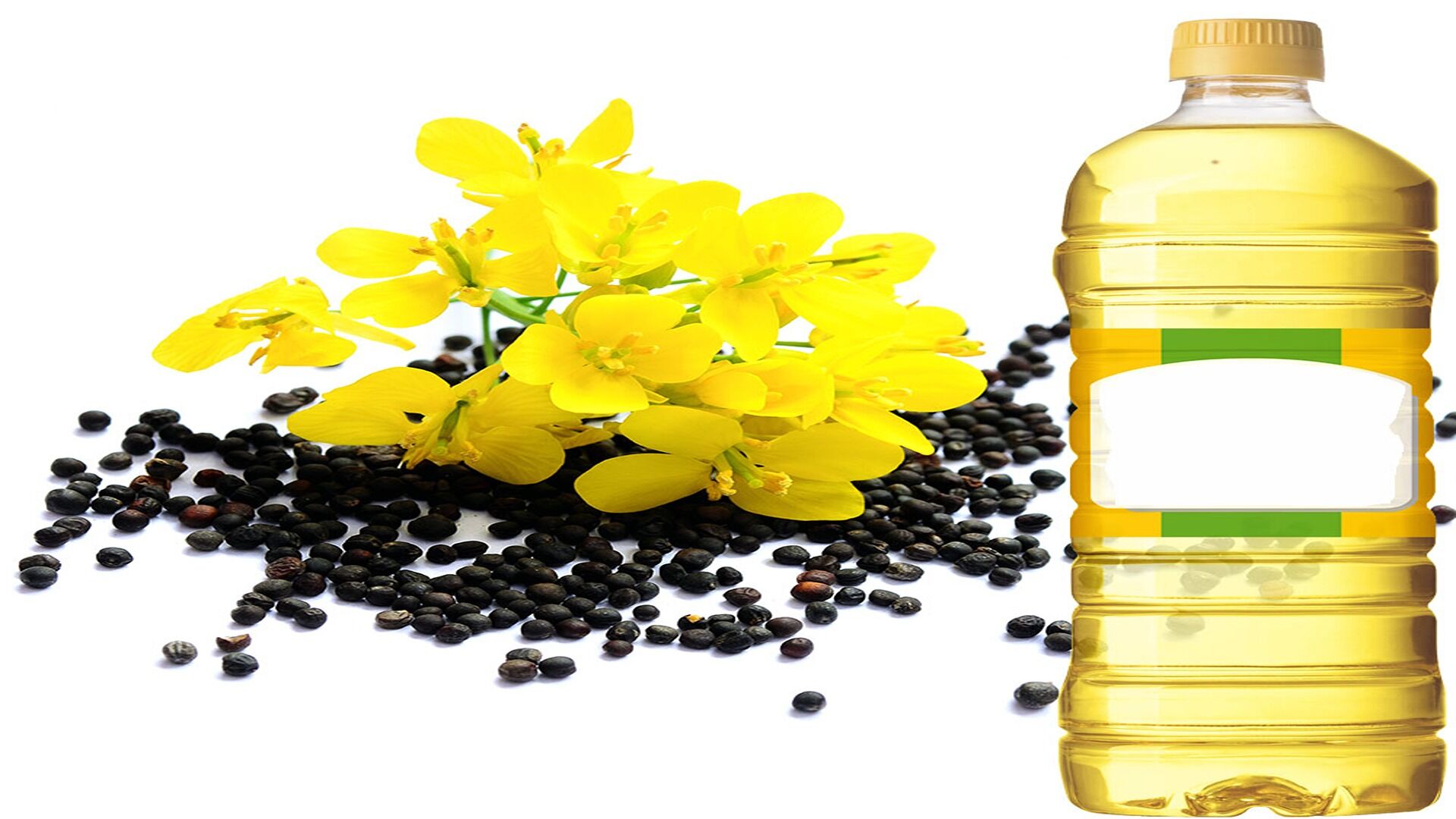 Buy Canada Wholesale Top Quality Wholesale Finest Price Rapeseed Oil ...