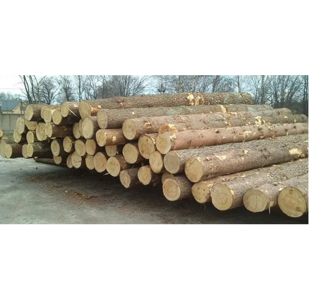 Spruce Rounds Buy Wholesale United States Wholesale Wood Supplier | Spruce Round Logs ...