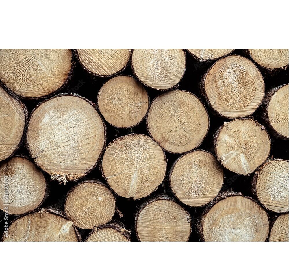 Spruce Rounds Buy Wholesale United States Wholesale Wood Supplier | Spruce Round Logs ...