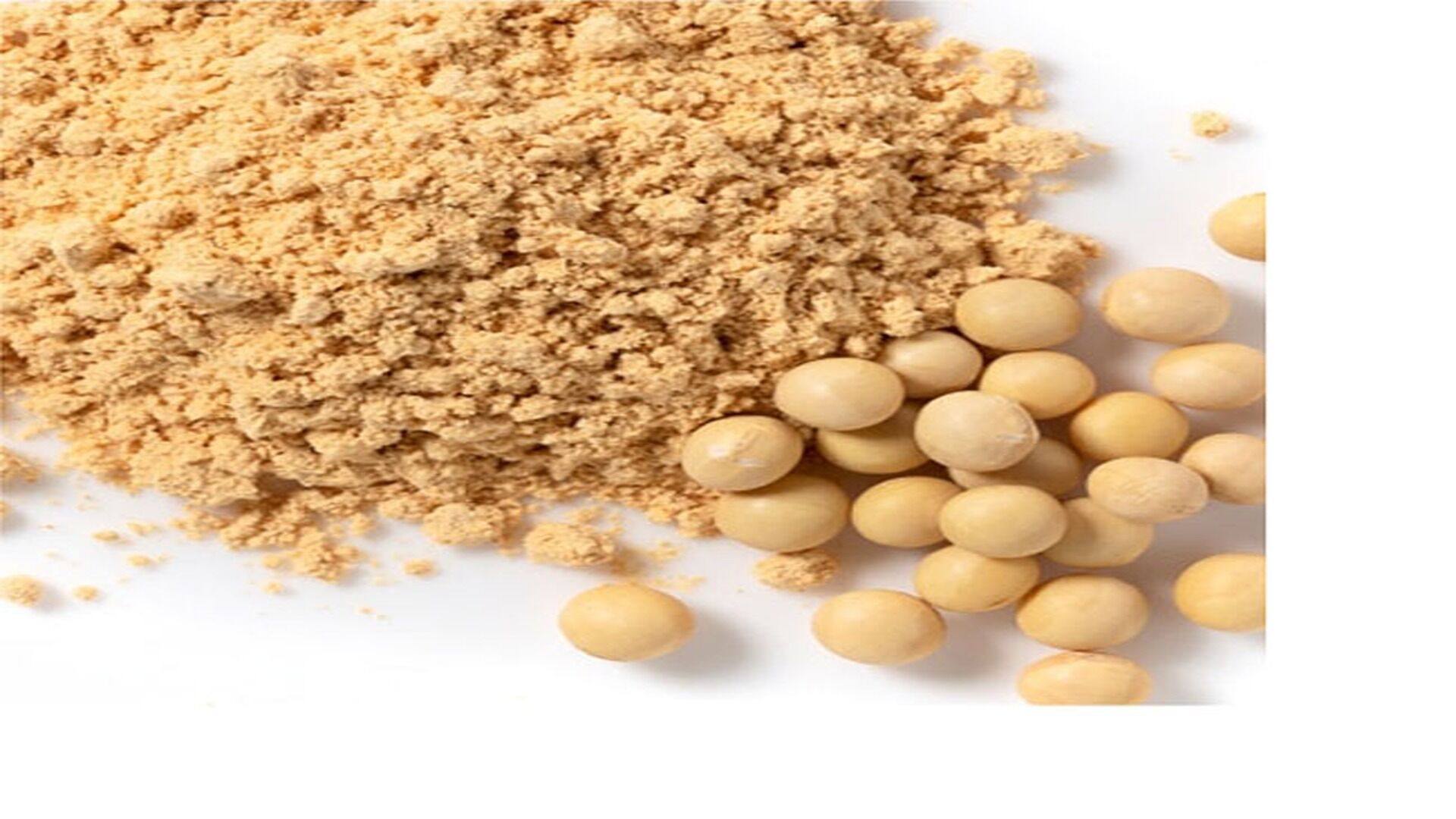 Buy Wholesale Canada Best Selling Supplier Soybean Meal Animal Feed Top