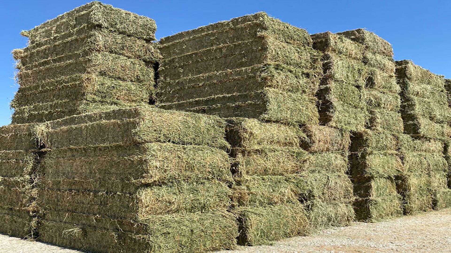 Buy Wholesale Canada Best Quality Hay All Kinds Bone Meal Soybean Meal