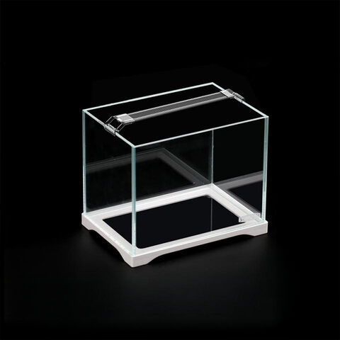 Kleines Tisch-Aquarium aus Aquarienglas