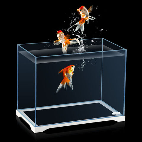 Kleines Tisch-Aquarium aus Aquarienglas