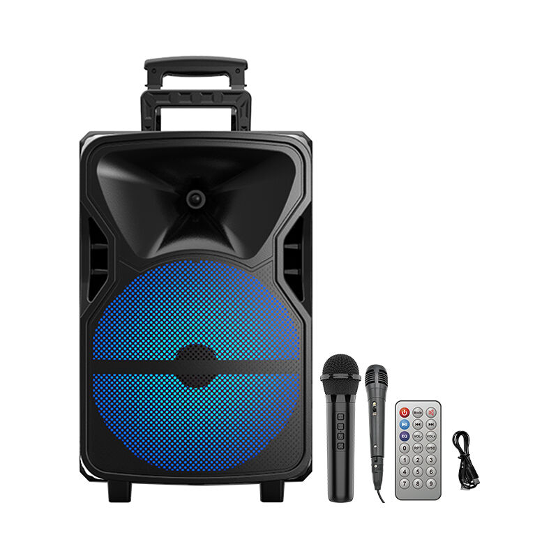 人気TOP 60w Sound Bass Wireless 12129 Zqs Power Inch 12 Single ボール