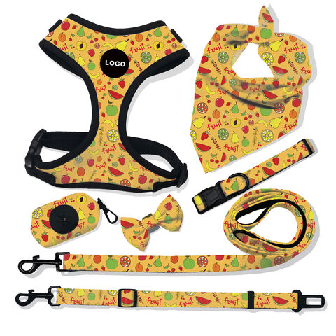 Individuelles Design & Logo für Hundehalsband, Geschirr, Leine, Kotbeutelhalter und Halstuch, Haustierhalsband Leine