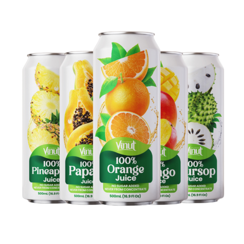Manufacture Suppliers Vinut Hot Selling 500ml Fresh Fruit Orange