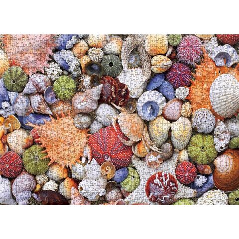 Rompecabezas para Adultos 1000 Piezas, Rompecabezas Playa Oceánica 1000 Piezas para Adultos, Puzzles Marinos Hawaii 1000 Piezas para Adultos