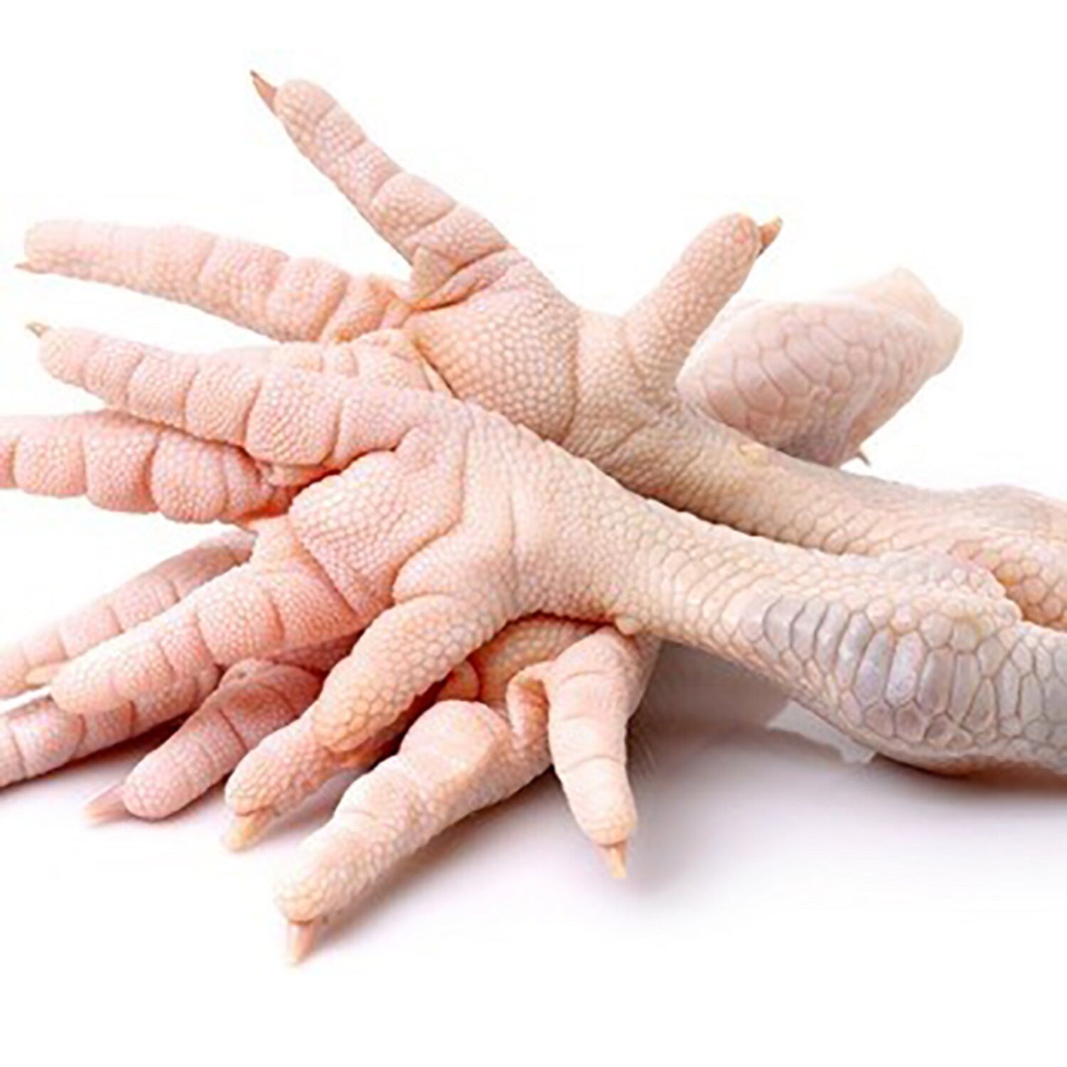 Bulk Buy United Kingdom Wholesale Frozen Chicken Paw Feet Wholesale Top Grade Paws Feet Ready