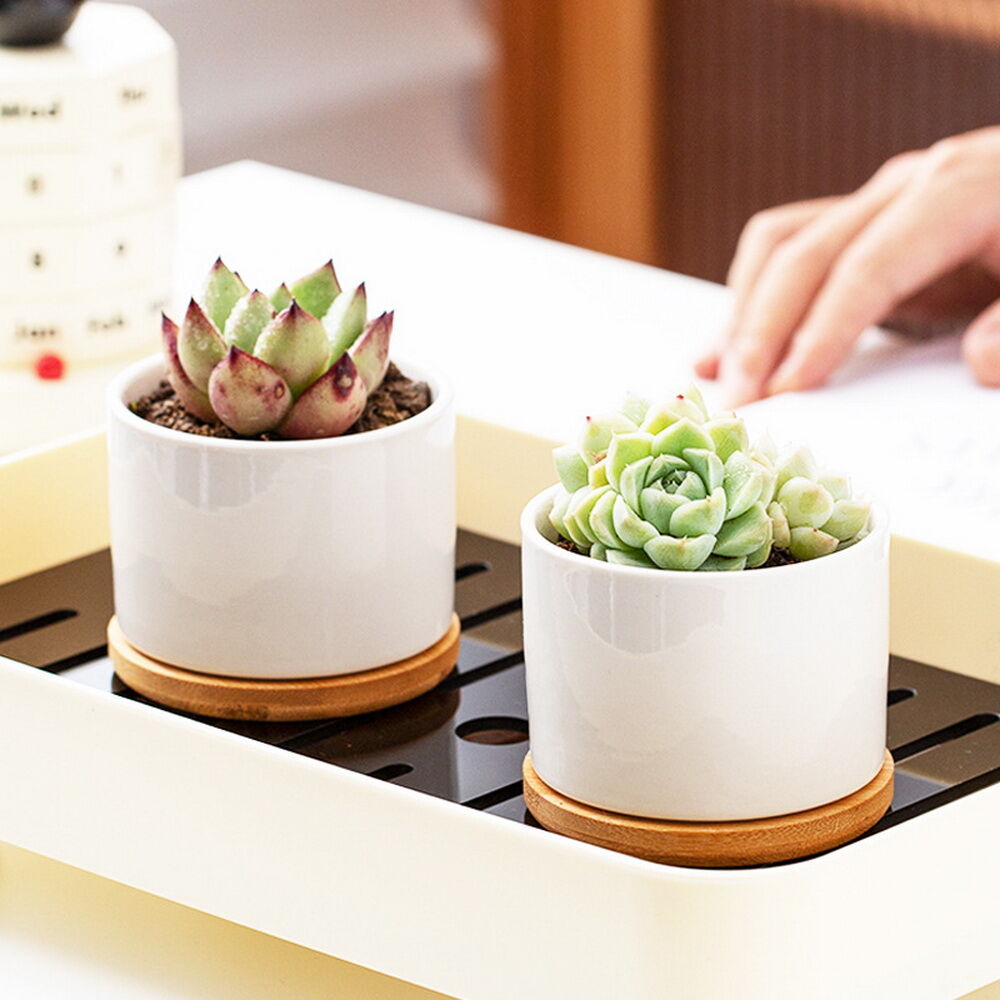 White Round Ceramic Succulent Planter Pot With Bamboo Tray, Animal ...