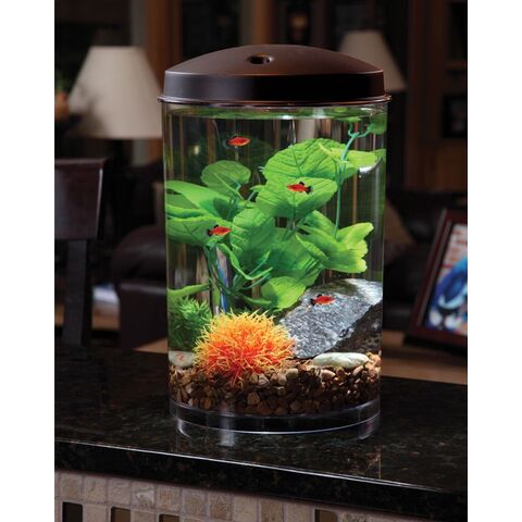 Kit de Acuario Profesional para Peces - Suministros para Acuarios al por Mayor