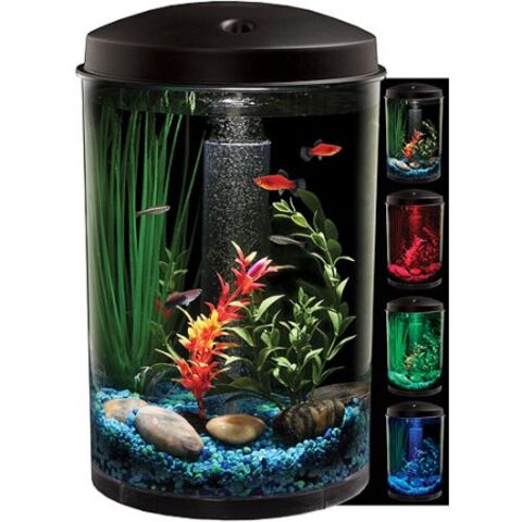 Kit de Acuario Profesional para Peces - Suministros para Acuarios al por Mayor