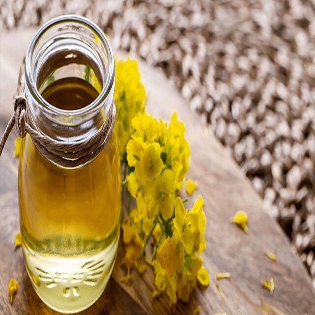 Organic Nongmo Canola Oil Vegetable Oil Cooking Cold Pressed Canola For Export Czech Republic
