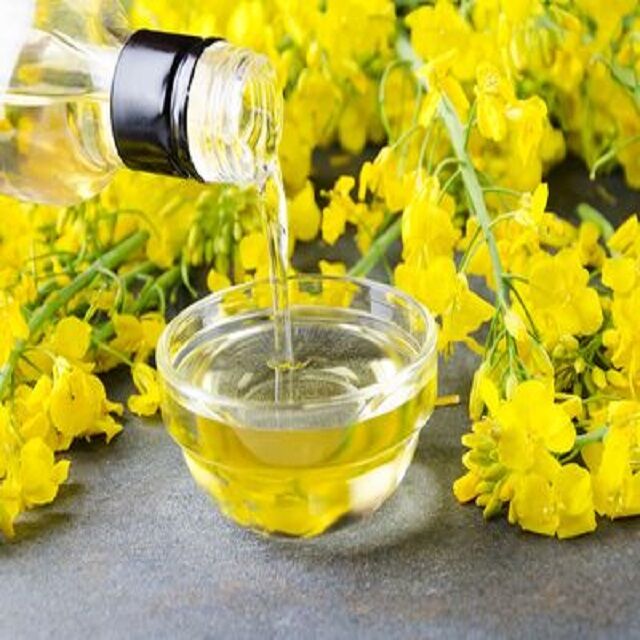 Hot Sale Refined Canola Cooking Oil / Rapeseed Cooking Oil Pure Refined ...