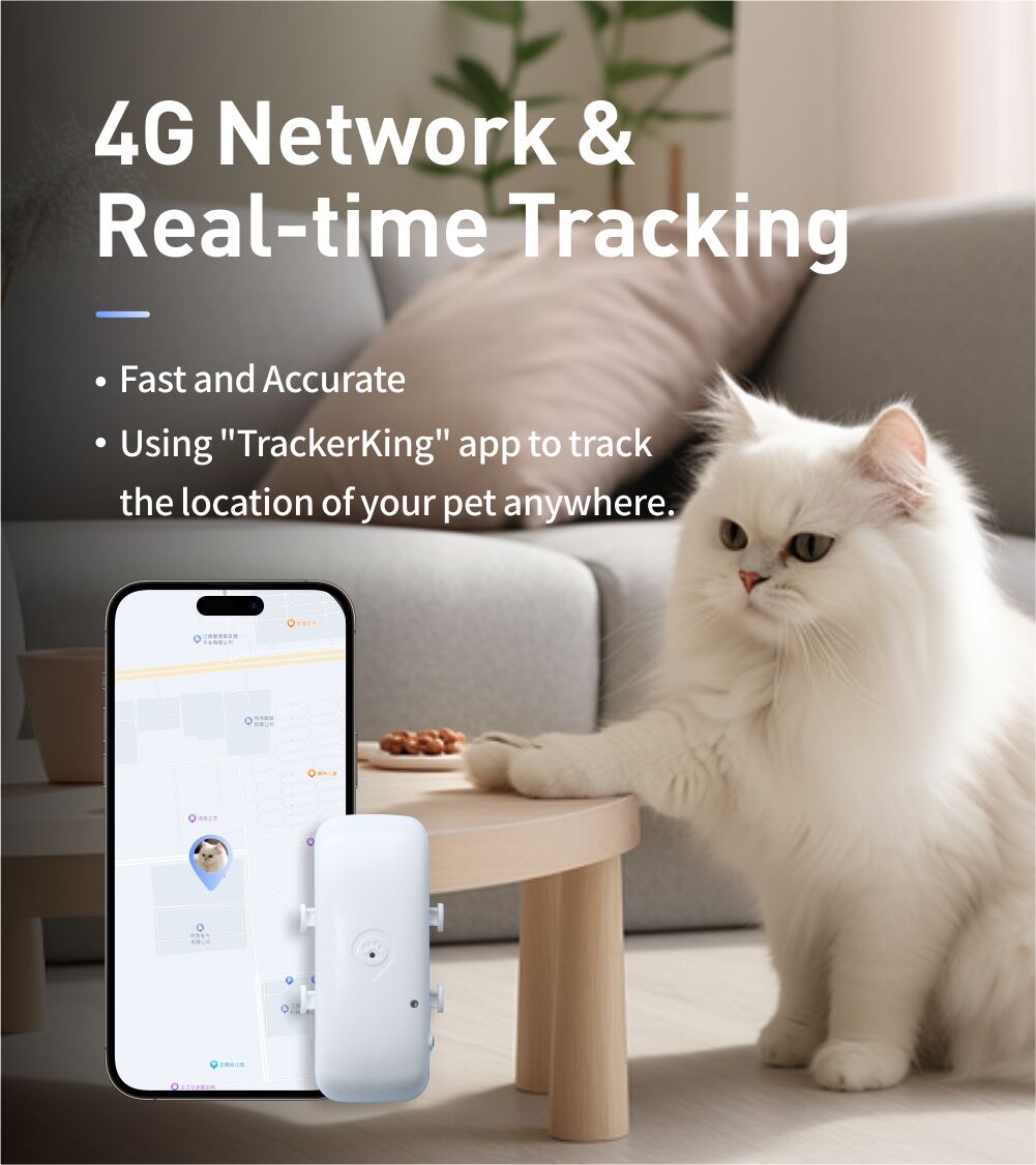 Anti-lost Tracking Device Suitable For Small Animals 4g+2g Tracking ...