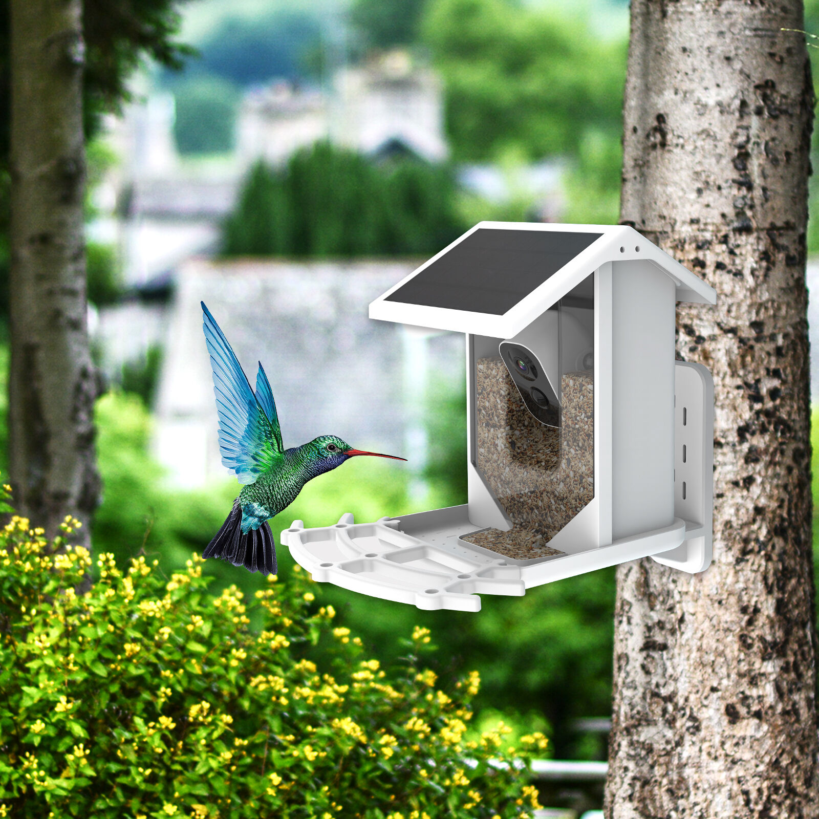 2.5k High Resolution Wild Smart Bird Feeder ,smart Ai Identify 110000 ...