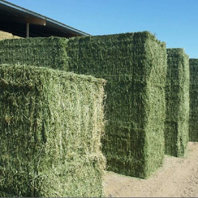 Feed Nutrient | Buy Alfalfa Hay | Hay For Sale | Sell Timothy Hay ...