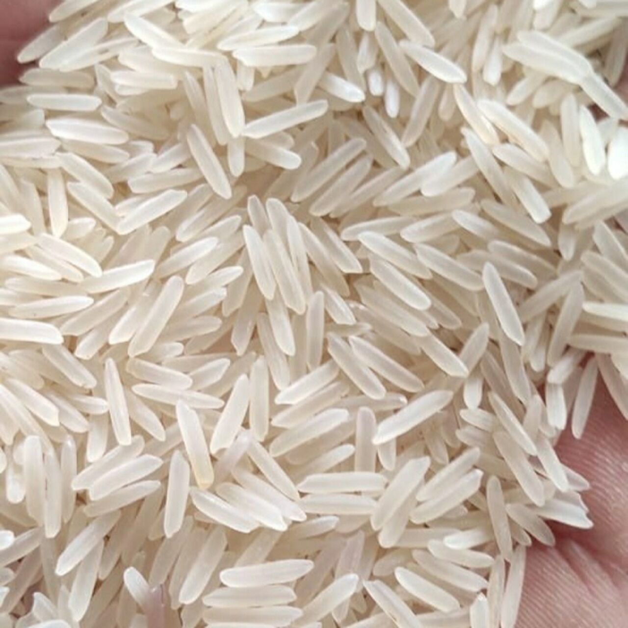 Bazzite Rice's Factory Direct High Quality Germany Wholesale Premium-quality Long ...